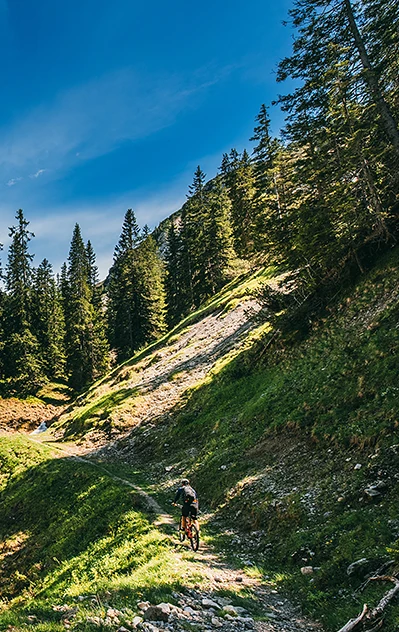 Mountainbiken