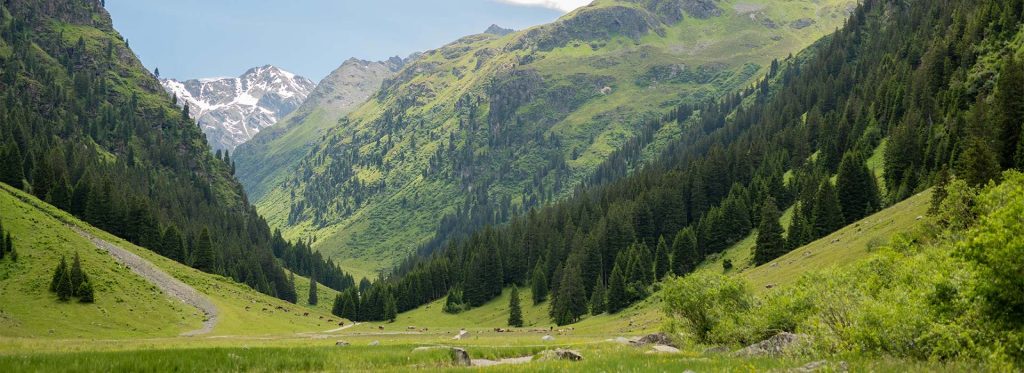 Sommerurlaub in den Bergen