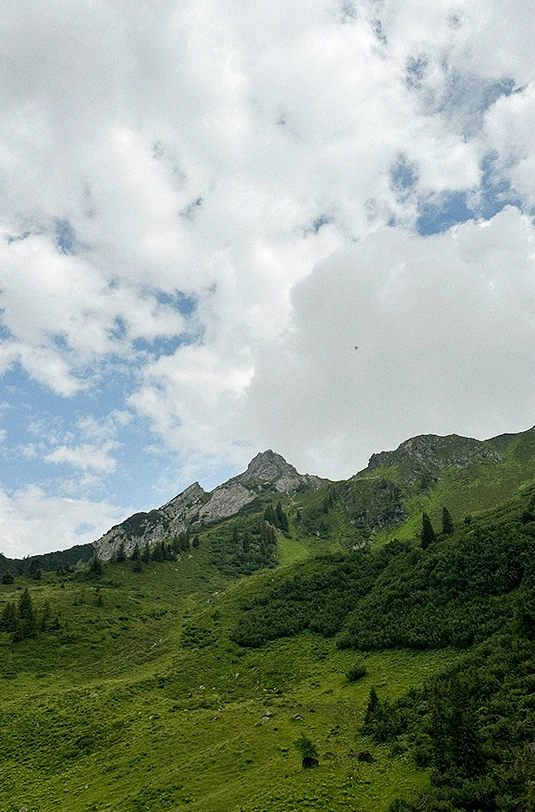 Grüne Berge unter bewölktem Himmel