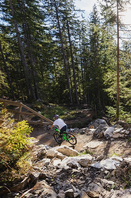 Mountainbiker fährt durch den Wald.