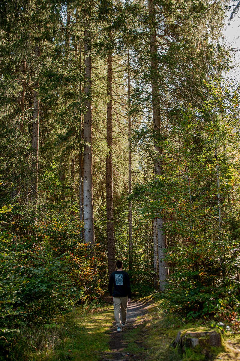 Wandern im Tal
