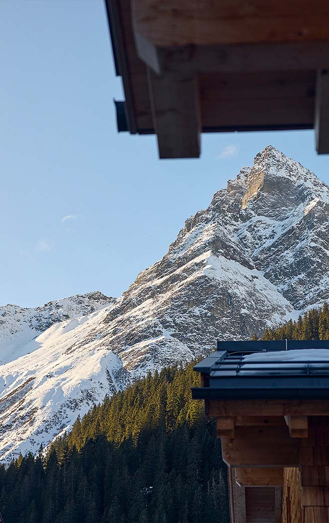 Chalet mit Bergblick
