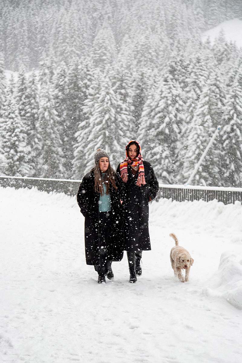 Mit dem Hund in den Bergen