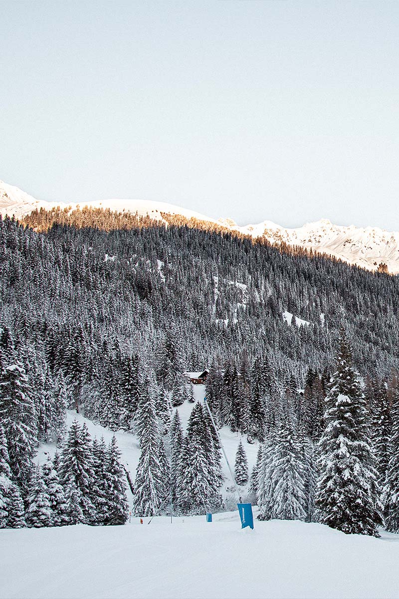 Schneebedeckte Berge und Bäume.