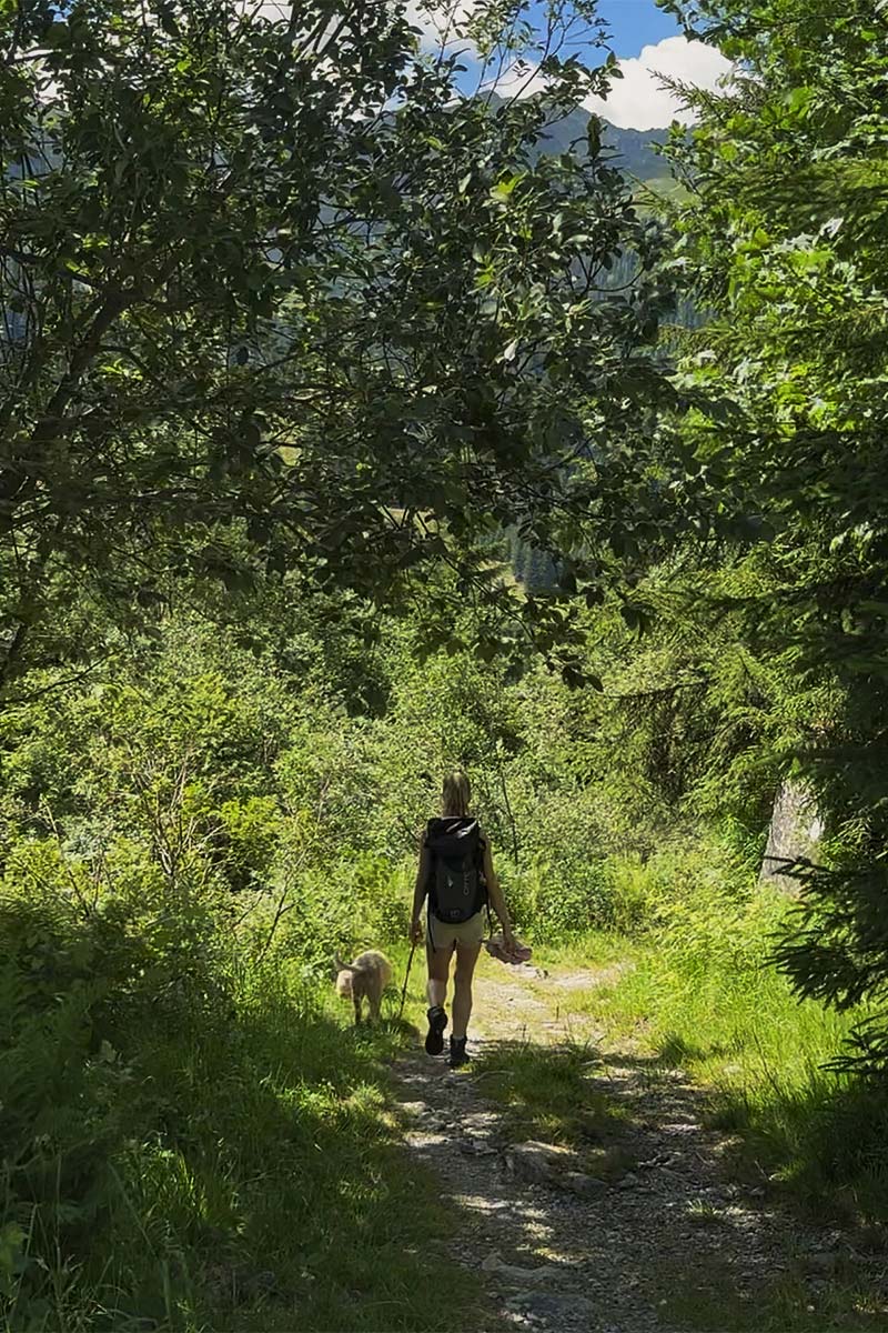 Wandern mit Hund Montafon