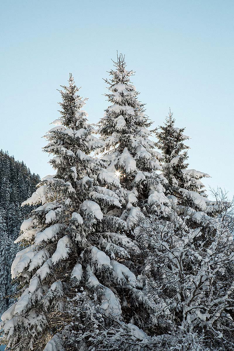 Winterwandern im Montafon
